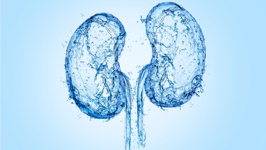 kidneys and hydration