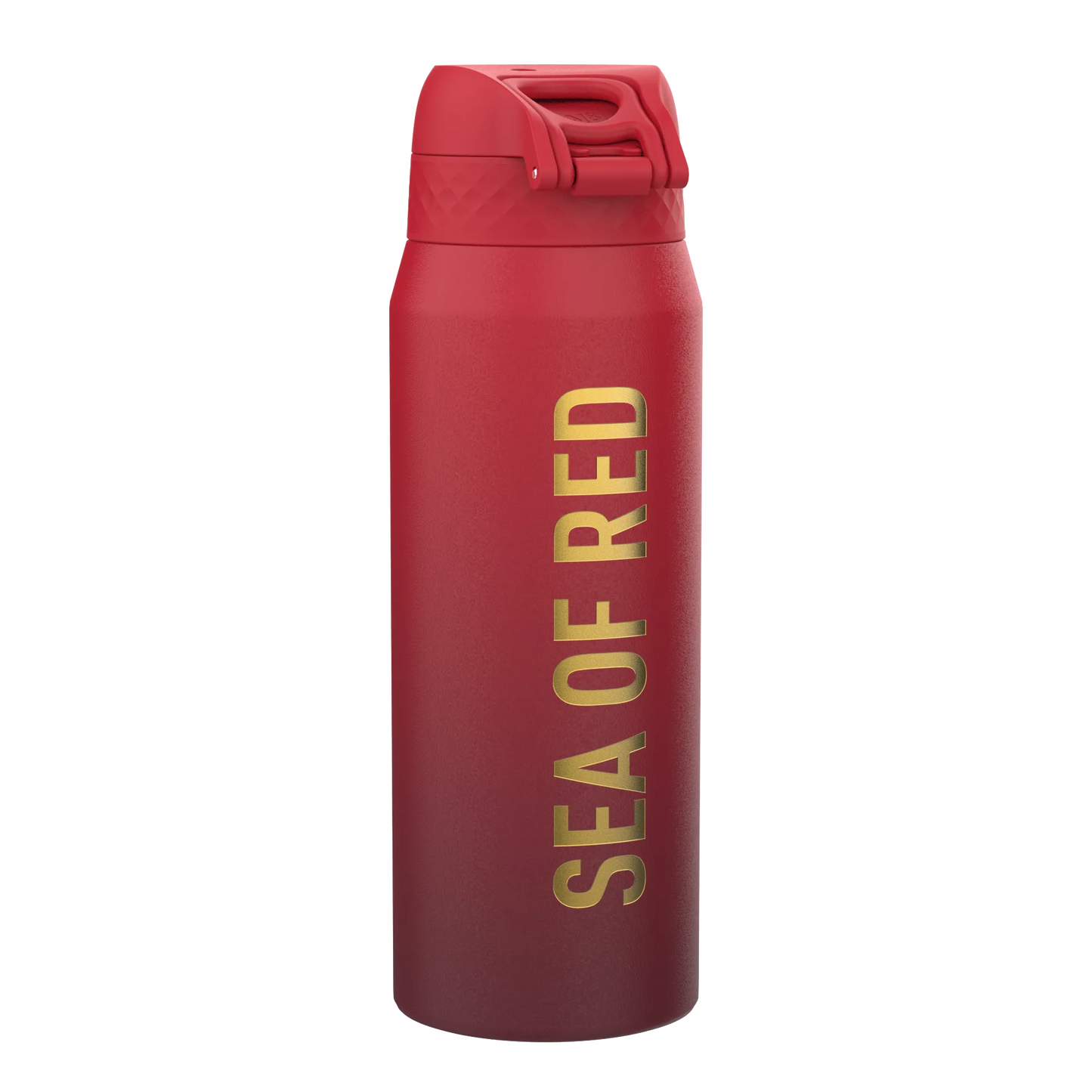 Lions X ION8 Insulated Steel Water Bottle, British & Irish Lions, Sea of Red, 750ml (24oz)