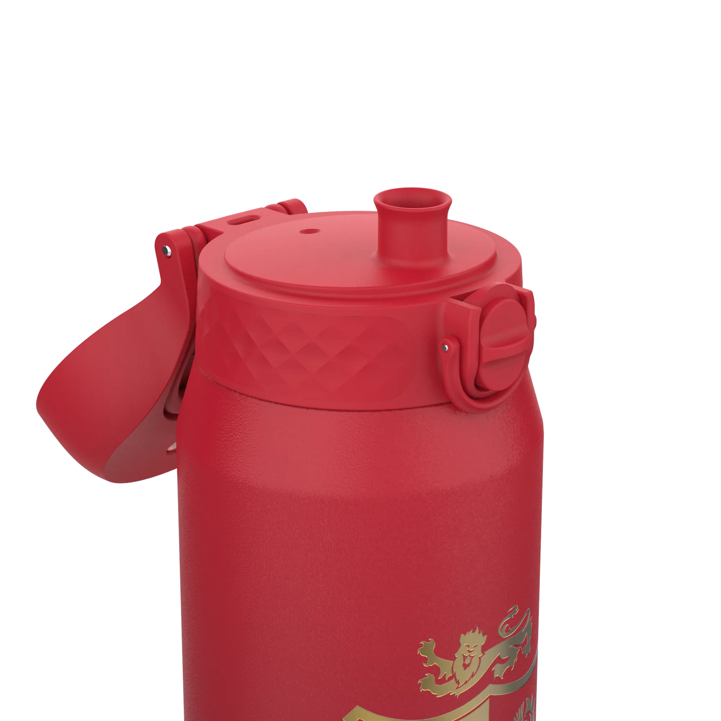 Lions X ION8 Insulated Steel Water Bottle, British & Irish Lions, Sea of Red, 750ml (24oz)